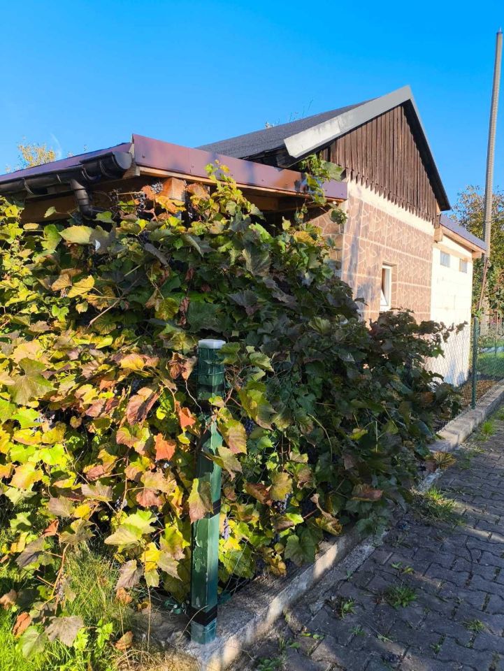 Działka rod Żory, ul. Okrężna. Zdjęcie 4