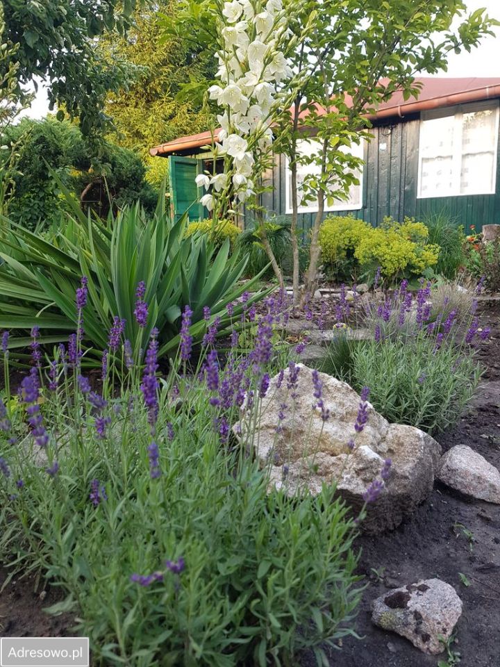 Działka rod Kraków Krowodrza, ul. Mydlnicka. Zdjęcie 4