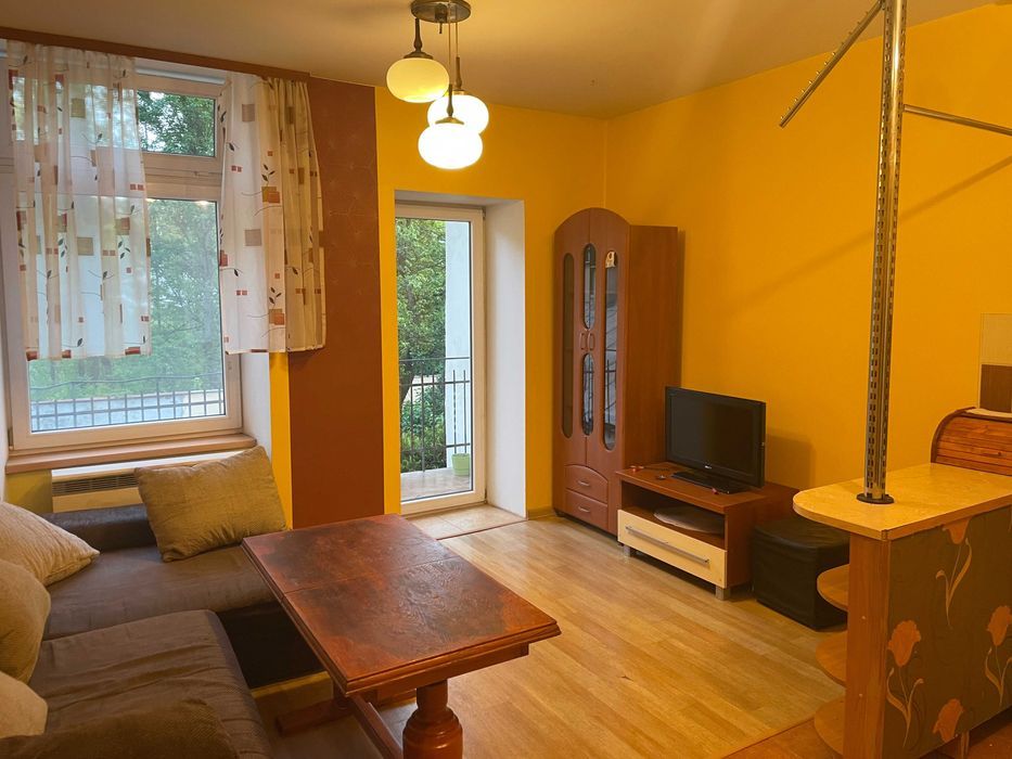 Mieszkanie 1-pokojowe Kraków Grzegórzki, ul. Topolowa. Zdjęcie 1