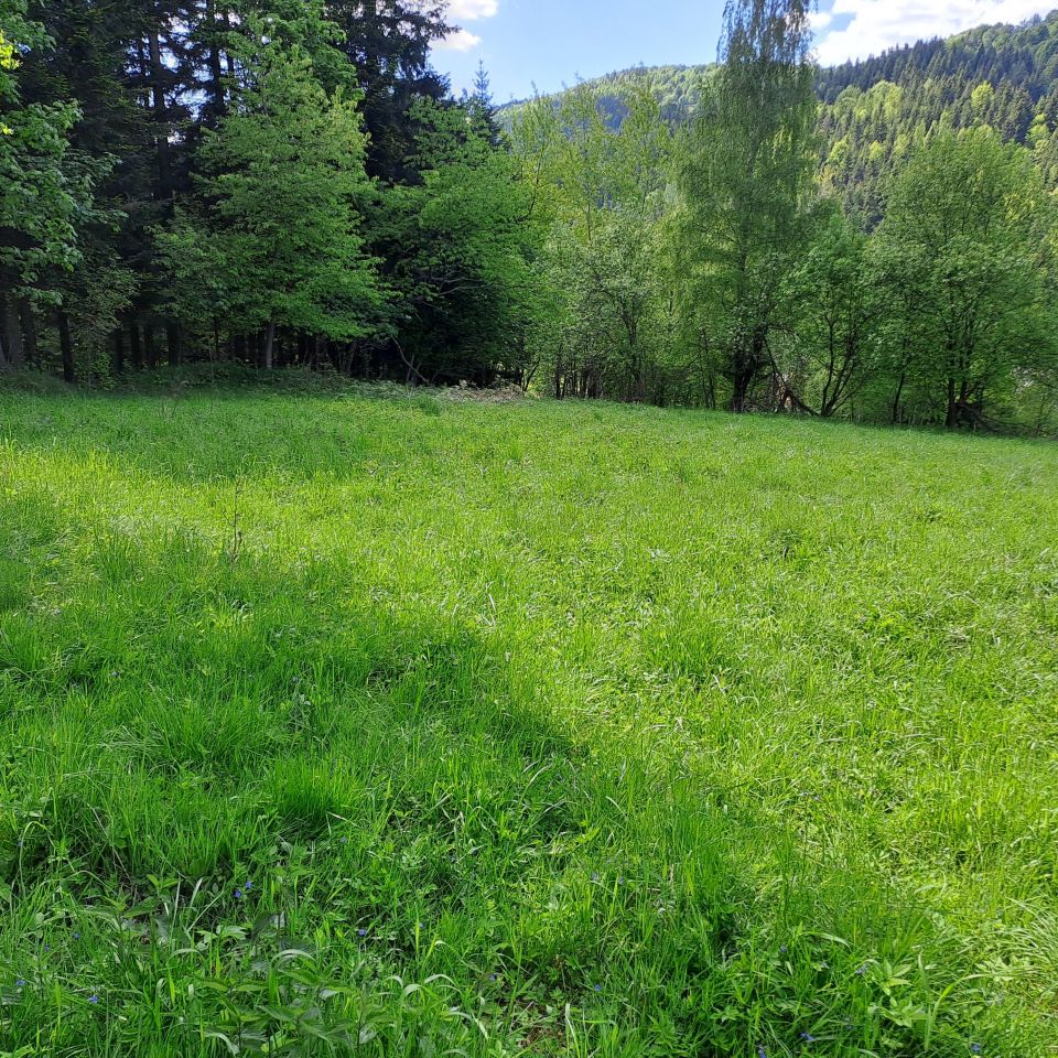 Działka budowlana Zawoja Budzonie