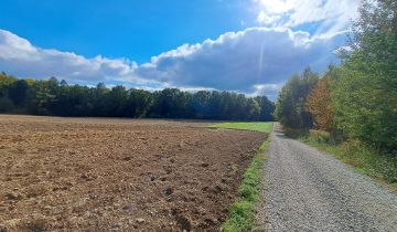 Działka siedliskowa Łagów