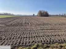 Działka rolno-budowlana Rawica Stara. Zdjęcie 3