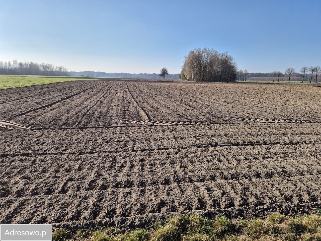 Działka rolno-budowlana Rawica Stara. Zdjęcie 4