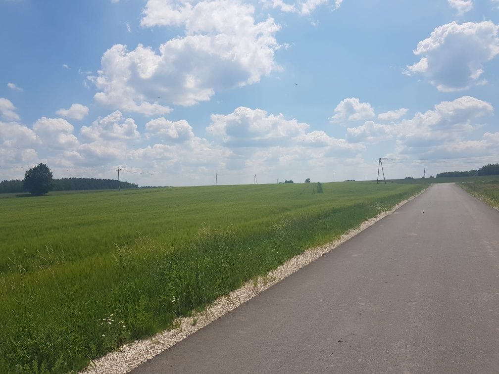 Działka rolna Ozorów. Zdjęcie 3