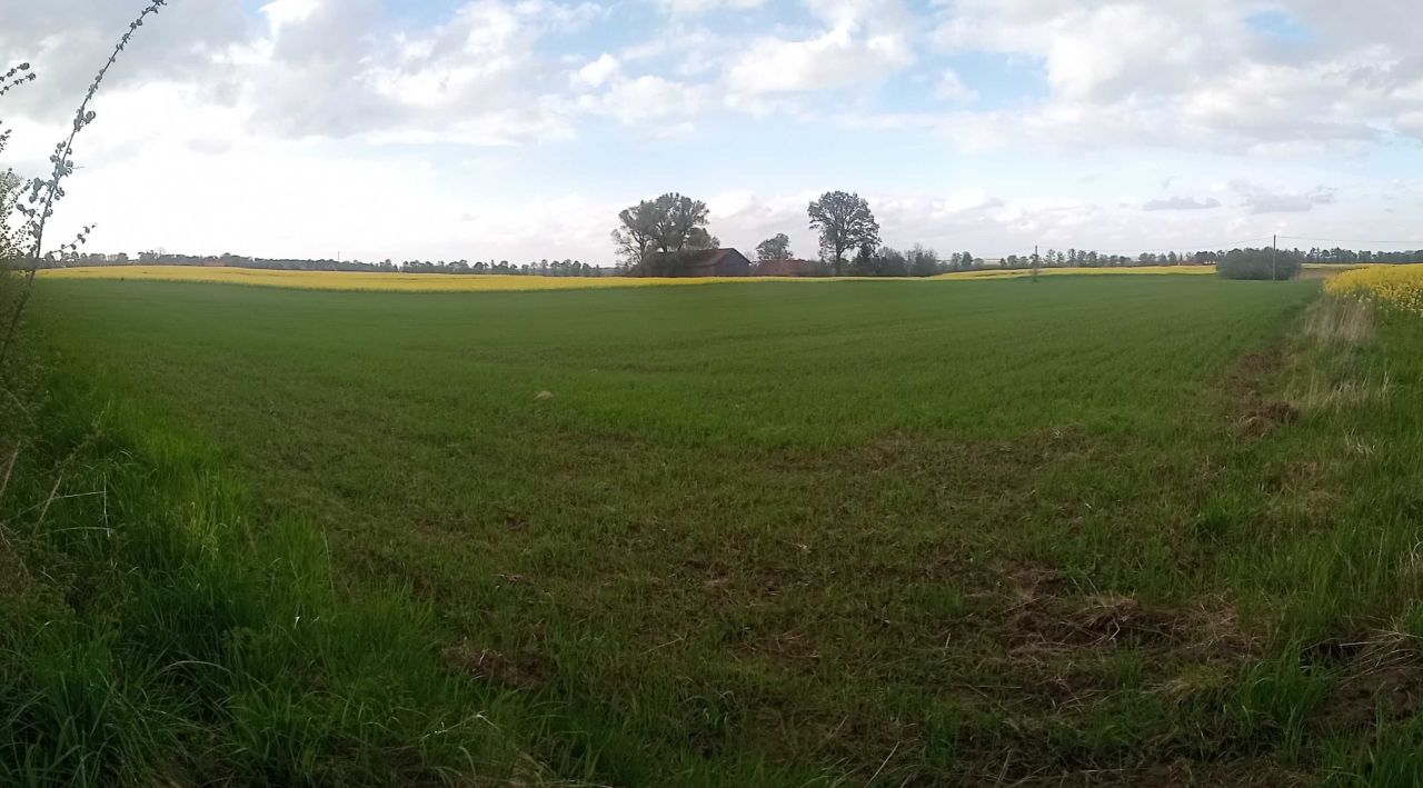 Działka rolno-budowlana Łędławki. Zdjęcie 5