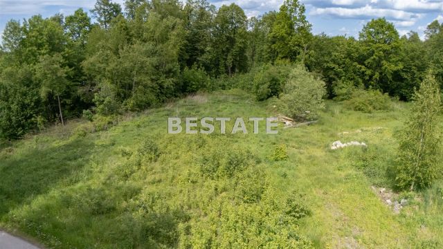 Działka leśna Szynwałd. Zdjęcie 5