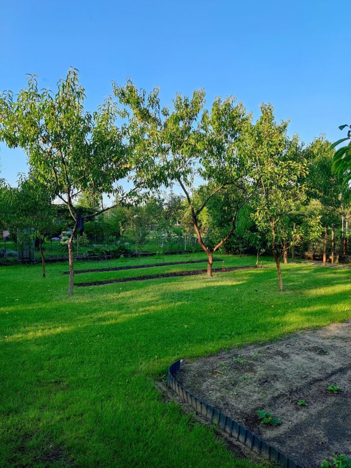 Działka rod Nowa Sól Stare Żabno, ul. Śląska. Zdjęcie 2