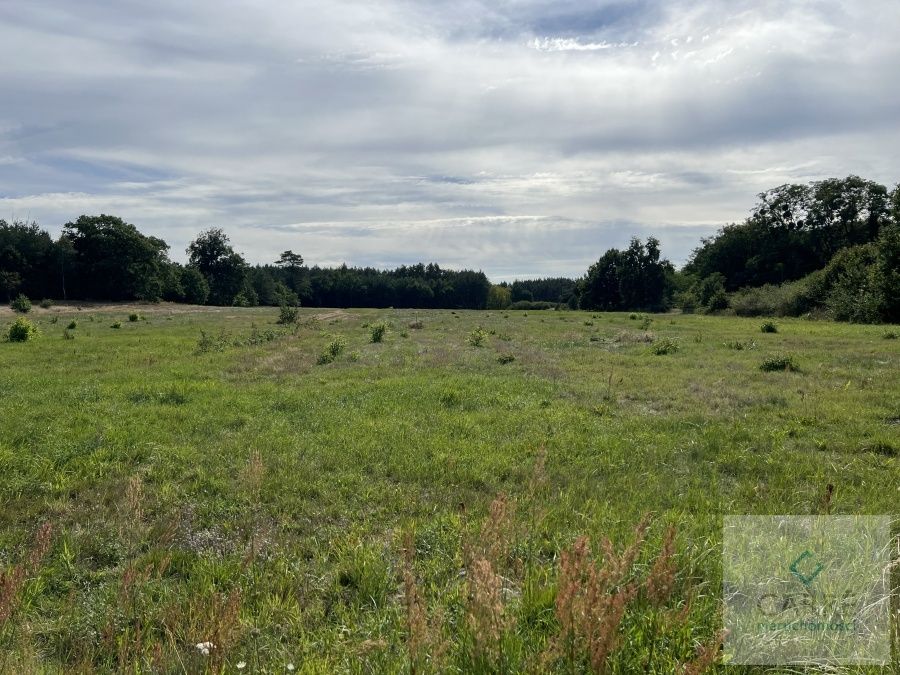 Działka budowlana Uniemyśl. Zdjęcie 5