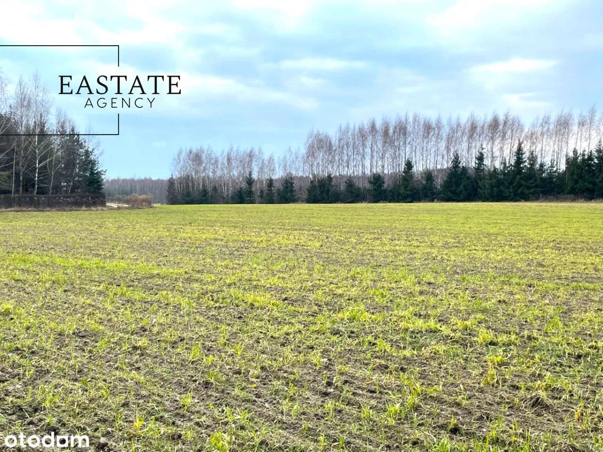 Działka inwestycyjna Harsz. Zdjęcie 5
