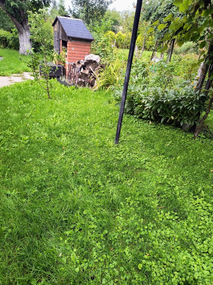 Działka rod Toruń Bydgoskie Przedmieście, ul. Stanisława Przybyszewskiego. Zdjęcie 12