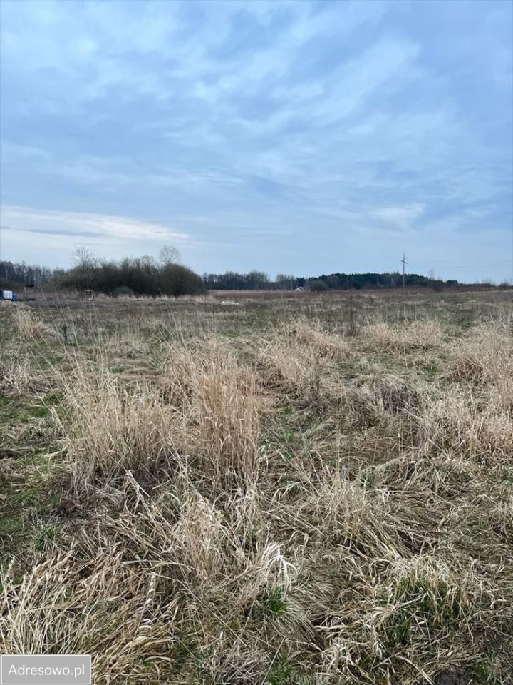 Działka budowlana Kawęczynek, ul. Zaleśna. Zdjęcie 4