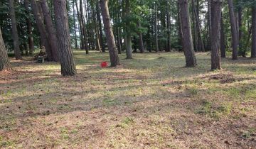 Działka leśna Gąski