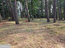 Działka leśna Gąski