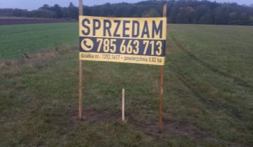 Działka rolna Karwice W Lesie