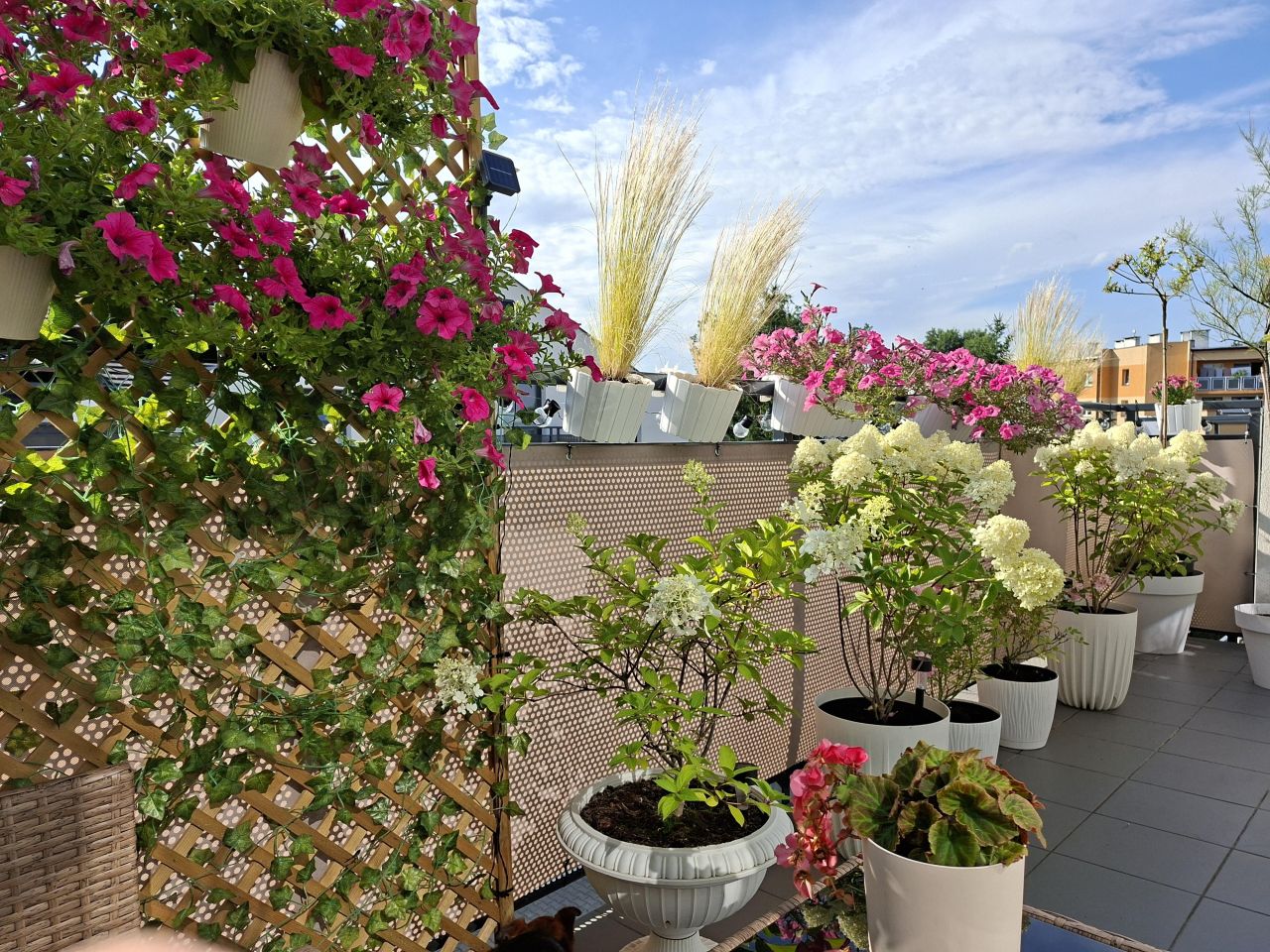 Mieszkanie 3-pokojowe Wrocław Zakrzów, ul. Paryska. Zdjęcie 20