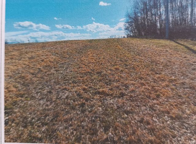 Działka rolno-budowlana Konary. Zdjęcie 1