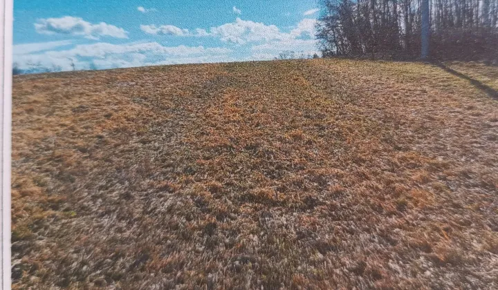 Działka rolno-budowlana Konary