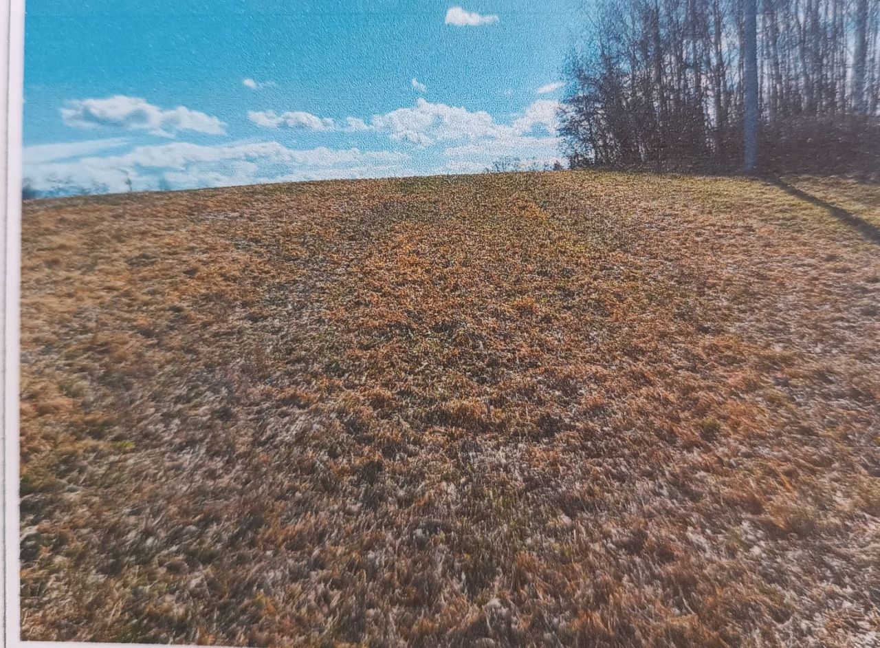 Działka rolno-budowlana Konary. Zdjęcie 1