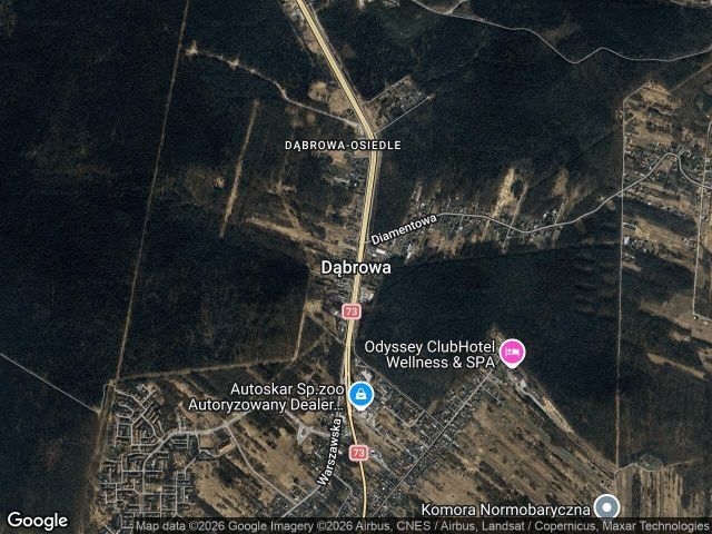 Działka leśna Dąbrowa. Zdjęcie 1