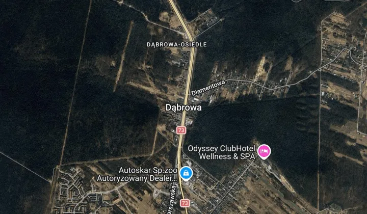 Działka leśna Dąbrowa