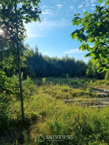 Działka rolna Suchacz. Zdjęcie 1