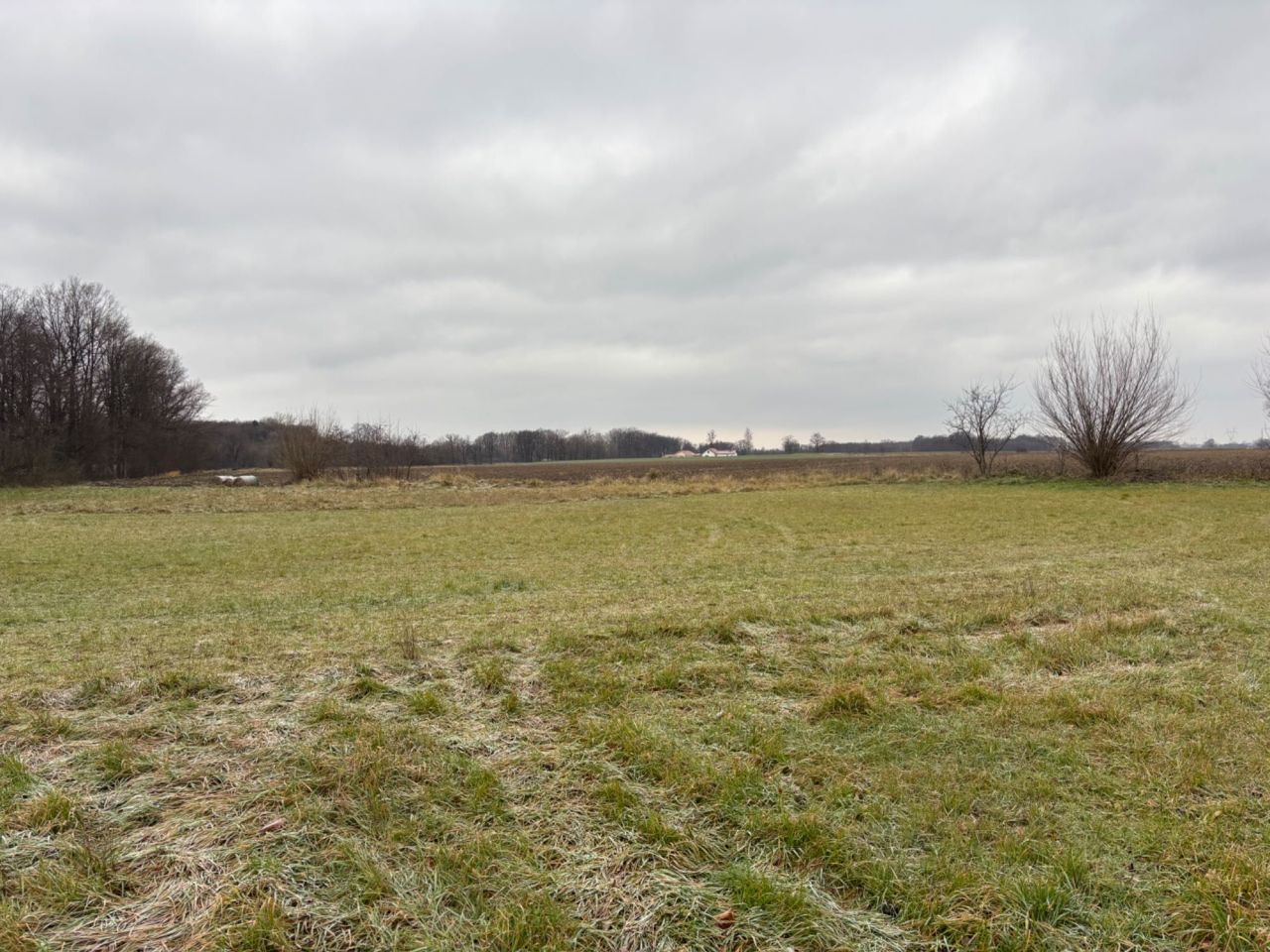 gospodarstwo Pieszyce. Zdjęcie 4