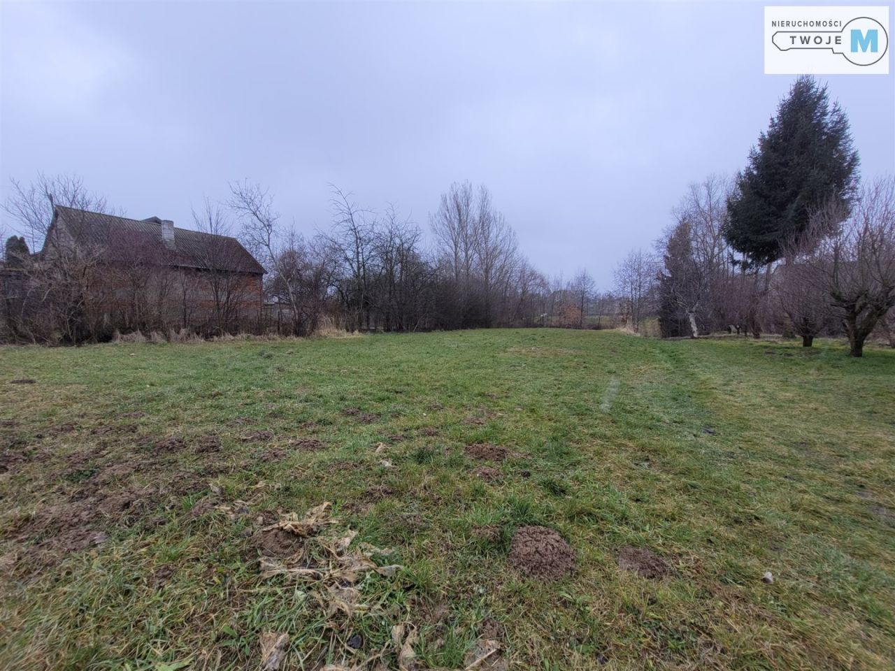 Działka rolna Sieradowice Drugie. Zdjęcie 3
