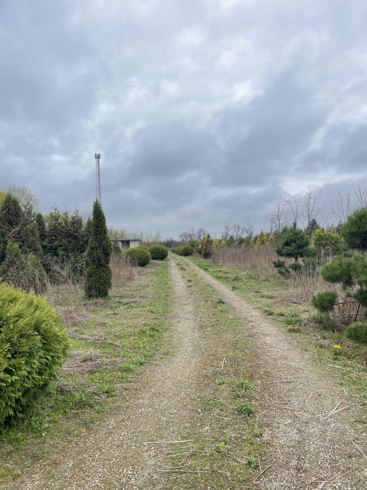 Działka rolna Nowa Wieś Ełcka. Zdjęcie 8