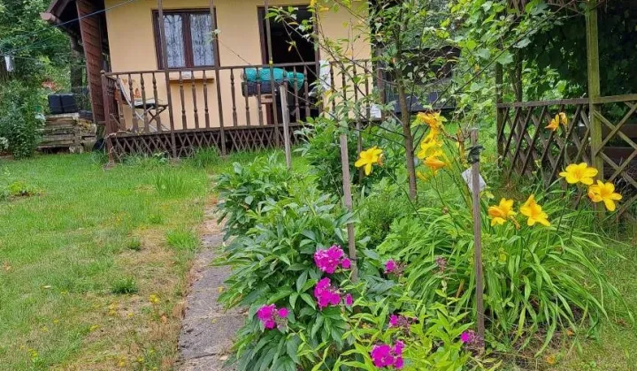 Działka rod Jastrzębie-Zdrój