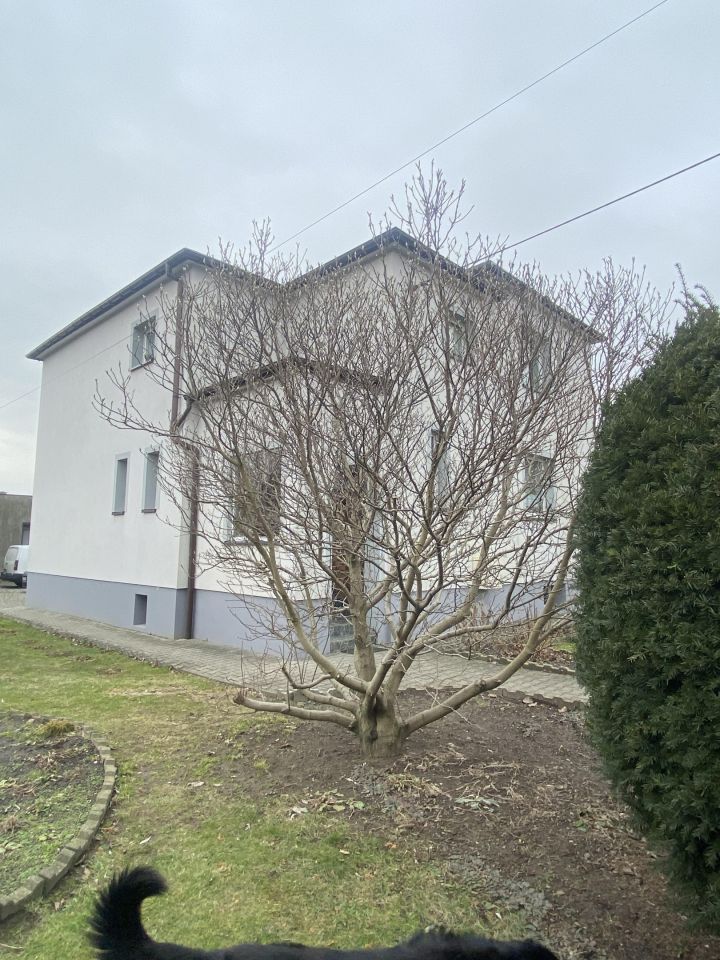 dom wolnostojący, 4 pokoje Żory Baranowice, ul. Lipowa