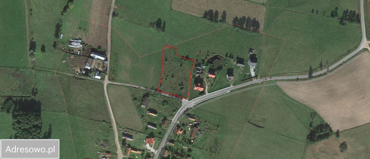 Działka rolno-budowlana Szuć. Zdjęcie 2