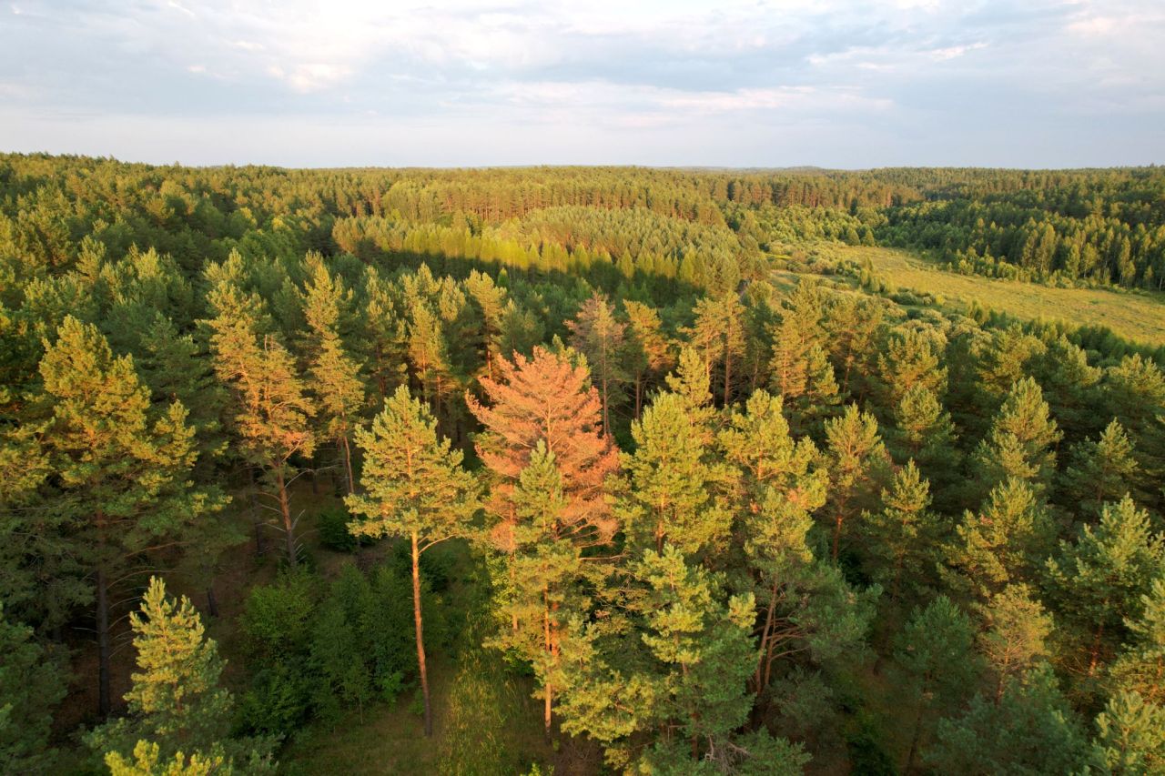 Działka budowlana Kuty. Zdjęcie 6