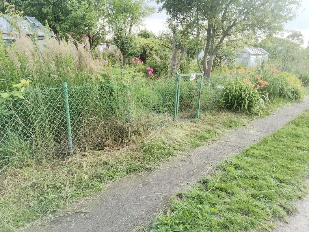 Działka rod Szczecin Bukowo, ul. Szosa Polska. Zdjęcie 2