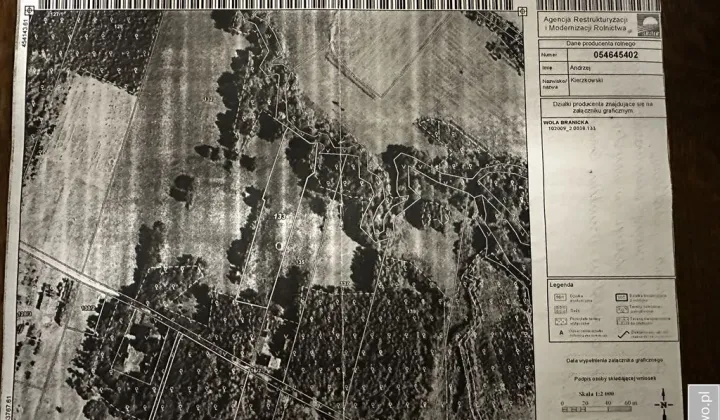 Działka leśna Wola Branicka