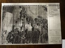 Działka leśna Wola Branicka