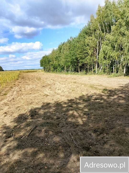 Działka rolna Podwody-Kolonia. Zdjęcie 6