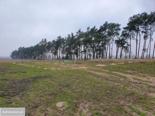 Działka budowlana Murzynowiec Leśny. Zdjęcie 1