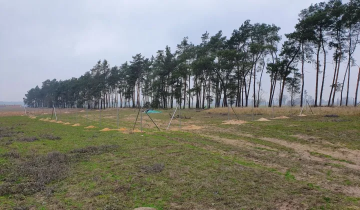 Działka budowlana Murzynowiec Leśny