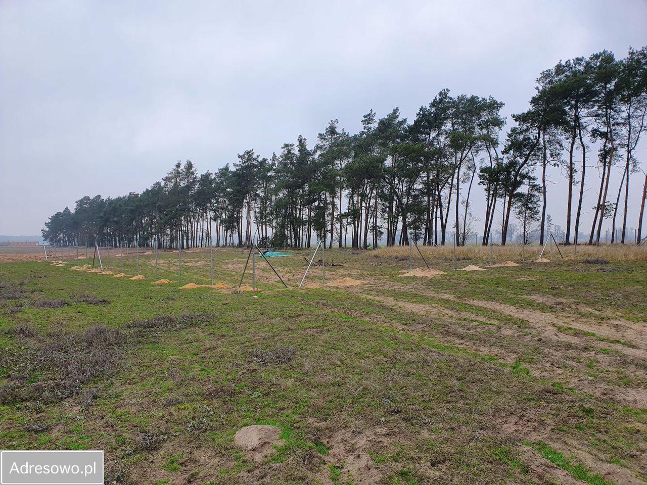 Działka budowlana Murzynowiec Leśny