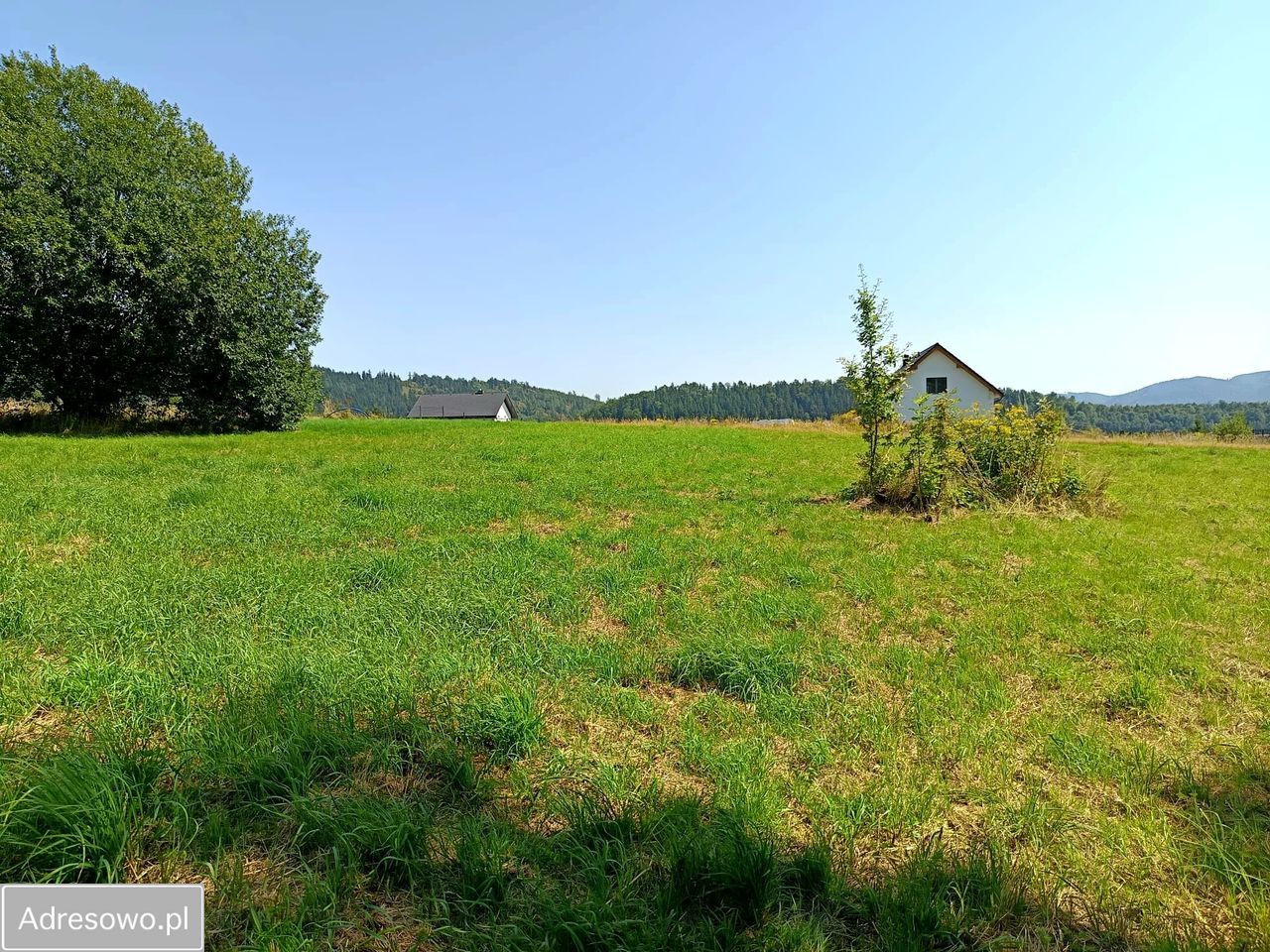 Działka budowlana Miszkowice, ul. Wichrowe Wzgórza. Zdjęcie 4