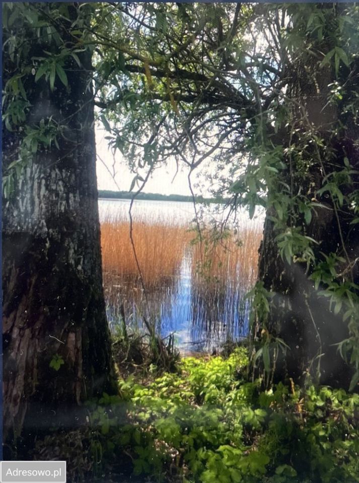 Działka rolna Mieruniszki. Zdjęcie 3