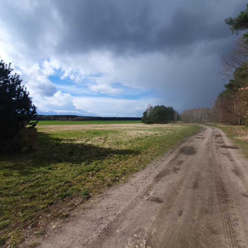 Działka rolna Bielkowo. Zdjęcie 3