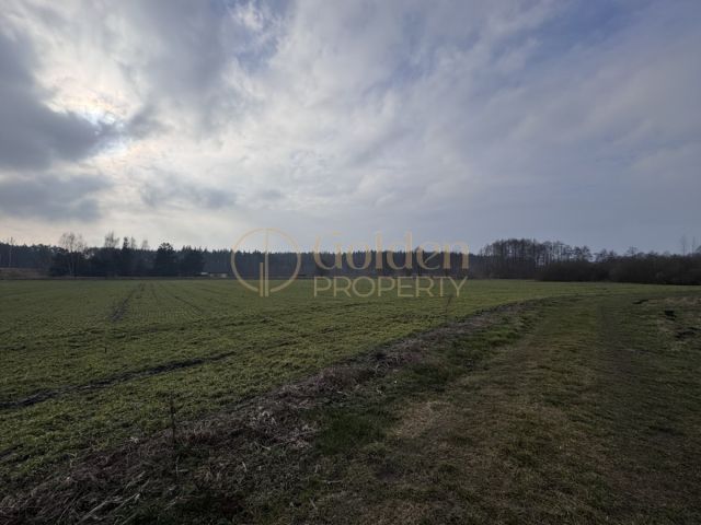 Działka budowlana Ryjewo. Zdjęcie 2