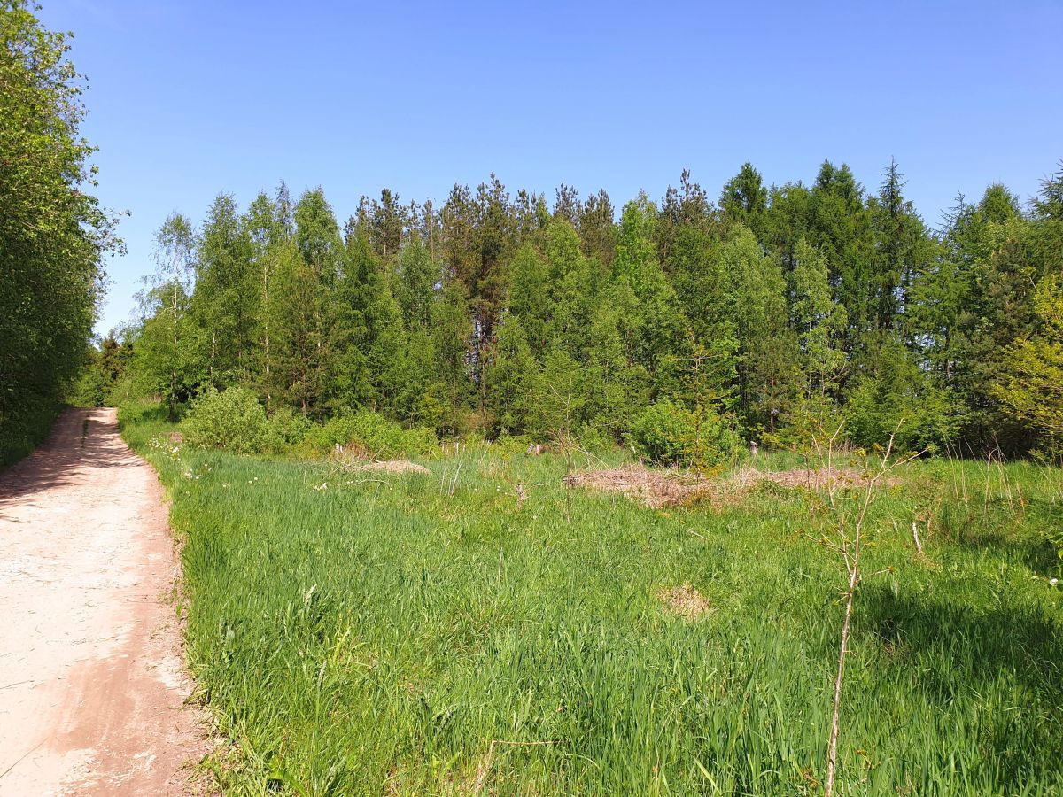 Działka inwestycyjna Przyjaźń. Zdjęcie 4