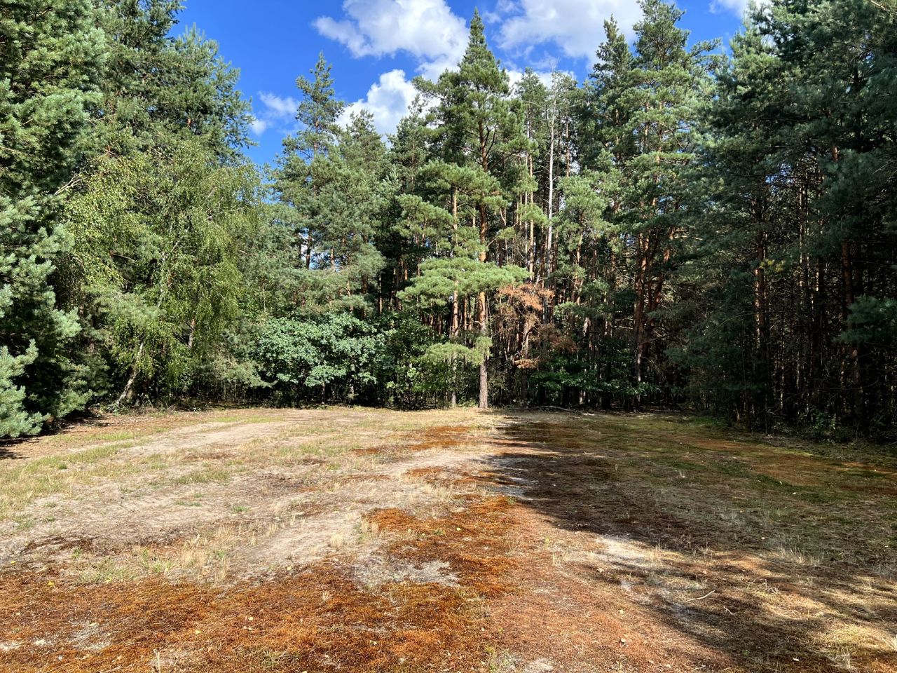 Działka rekreacyjna Mirowice, ul. Sarenki. Zdjęcie 7