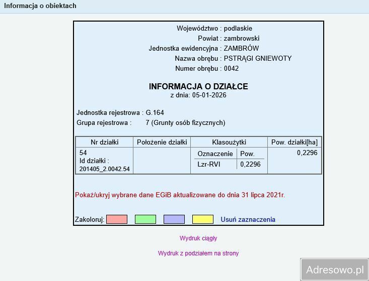 Działka leśna Pstrągi-Gniewoty. Zdjęcie 2