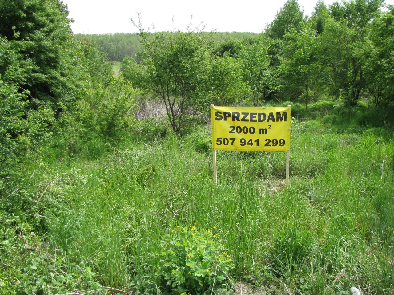 Działka rolna Chomontowce. Zdjęcie 3