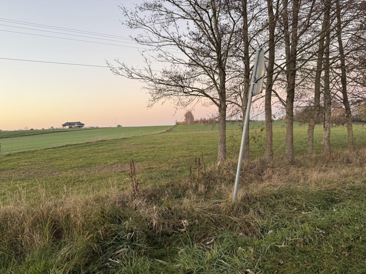 Działka rolna Krzemienica. Zdjęcie 4