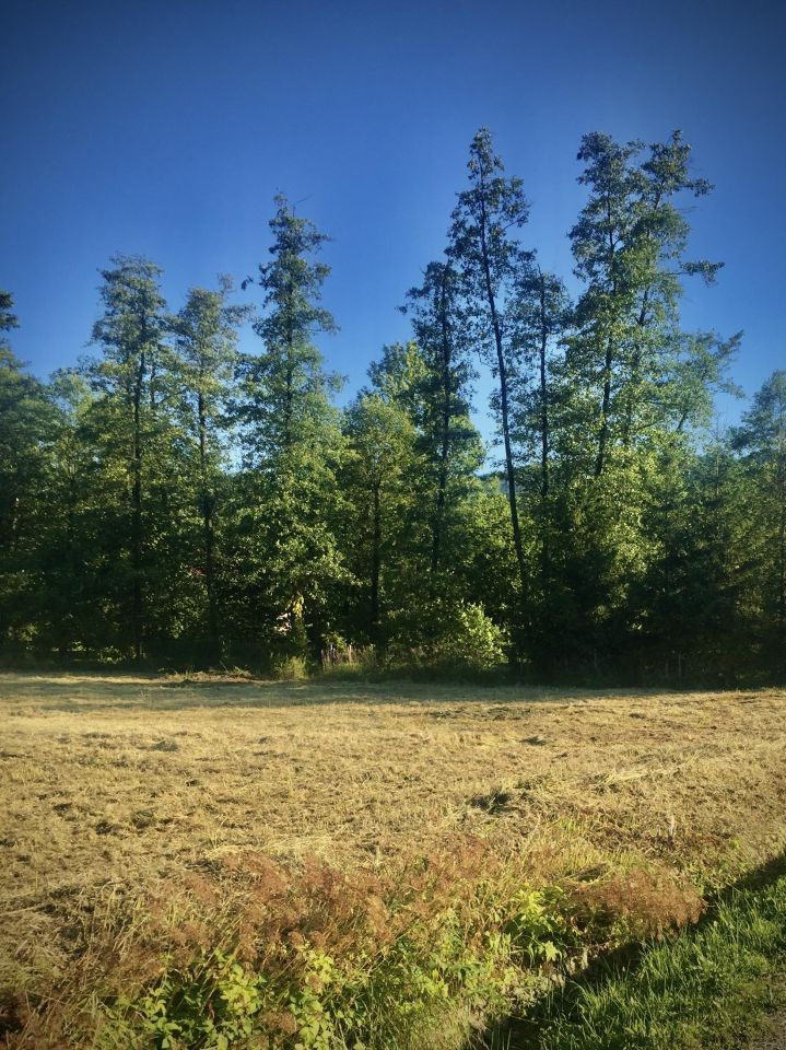 Działka budowlana Brenna Spalona, ul. Wierzbowa. Zdjęcie 5