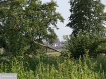 Działka rolno-budowlana Sielec. Zdjęcie 1